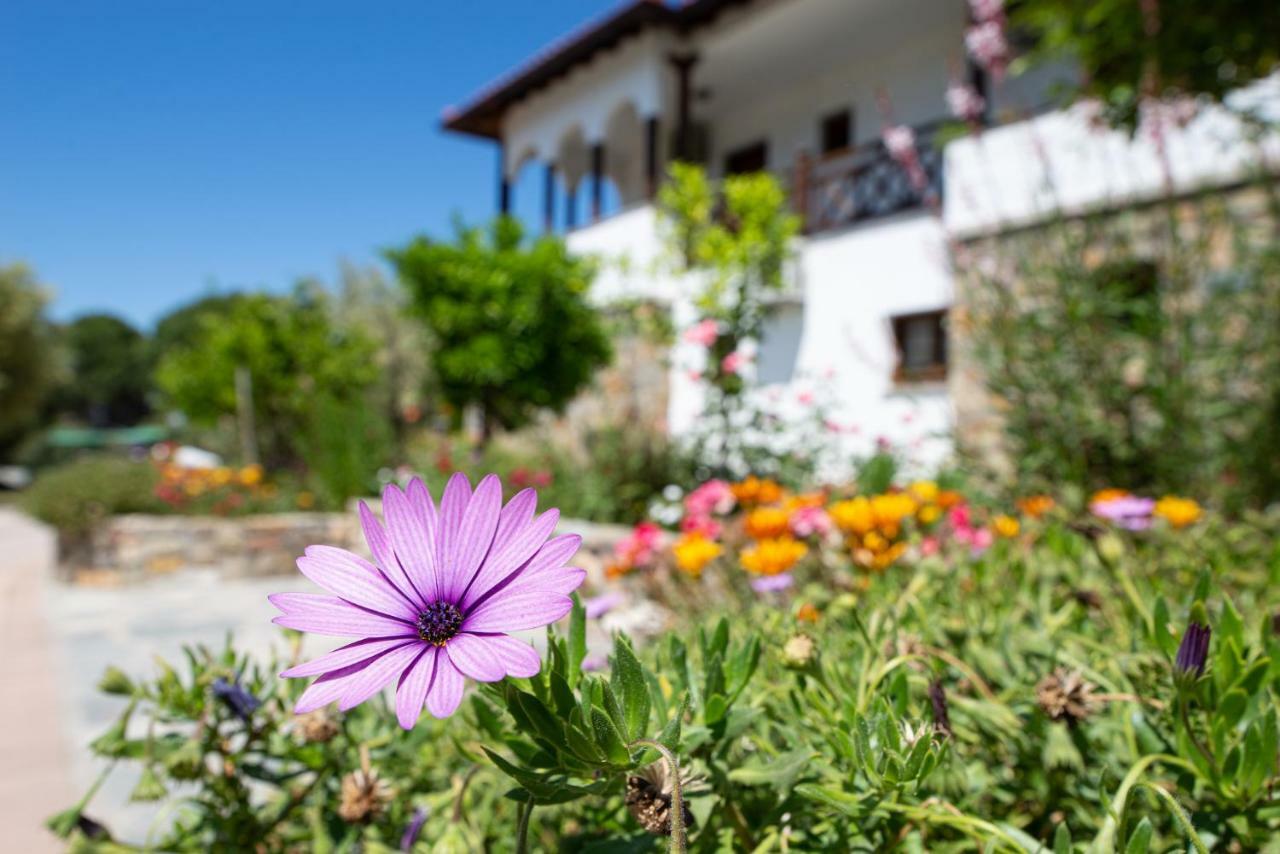 Appartamento Garden House Psarogiannis Vourvourou Esterno foto