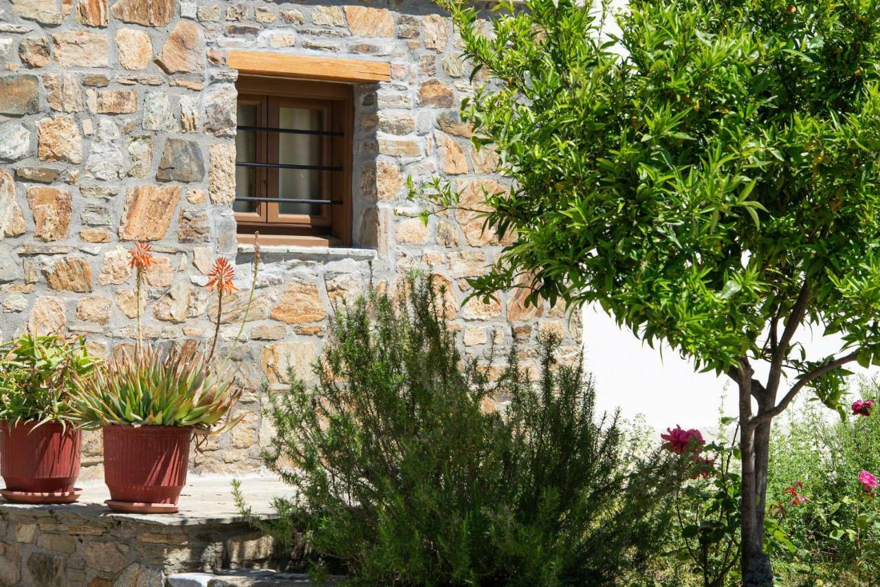 Appartamento Garden House Psarogiannis Vourvourou Esterno foto