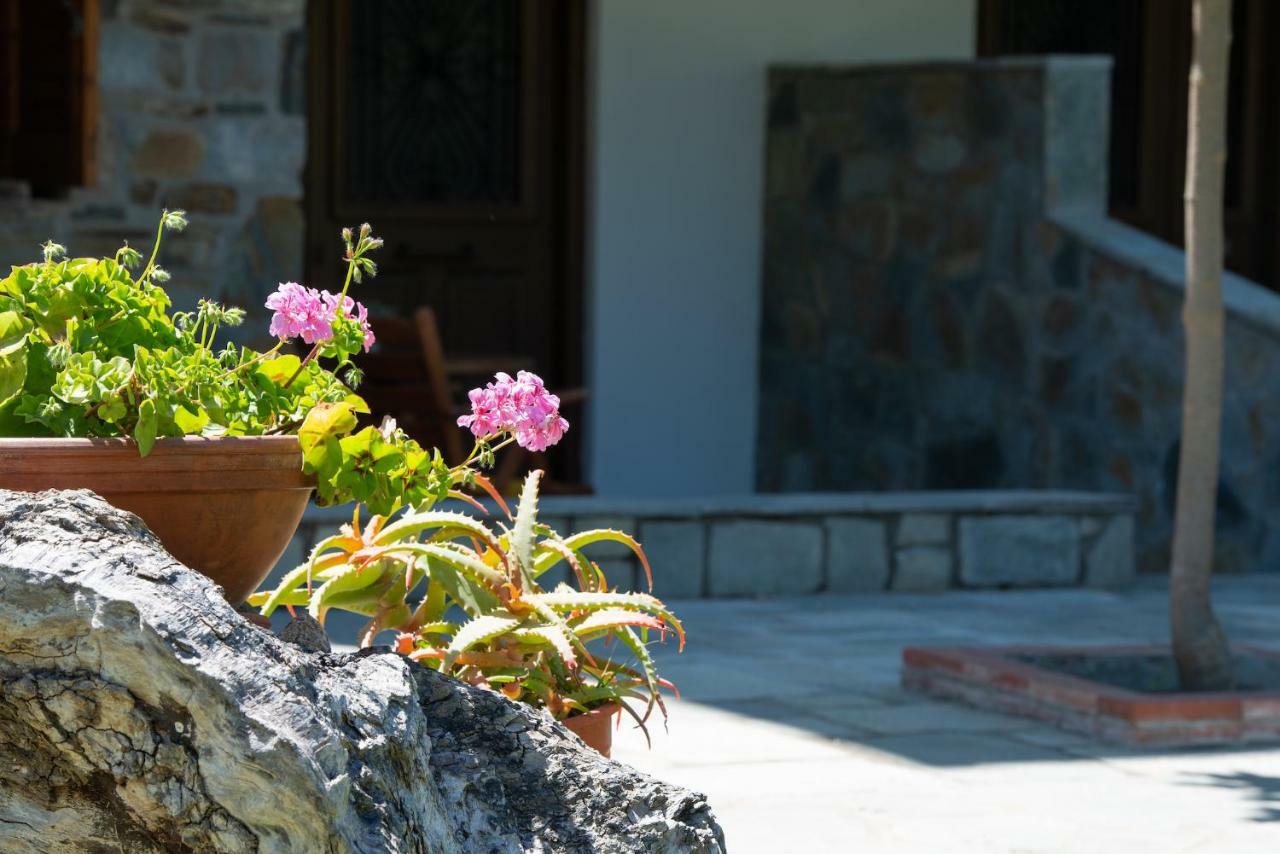 Appartamento Garden House Psarogiannis Vourvourou Esterno foto